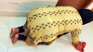 Arab Hot Maid Stuck: Please Hurry Up & Fuck My Big Ass Then Get Me Out Of Under Bed